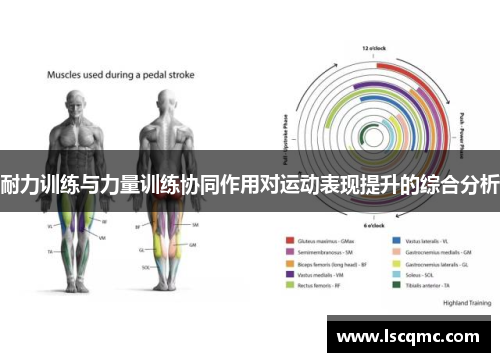耐力训练与力量训练协同作用对运动表现提升的综合分析