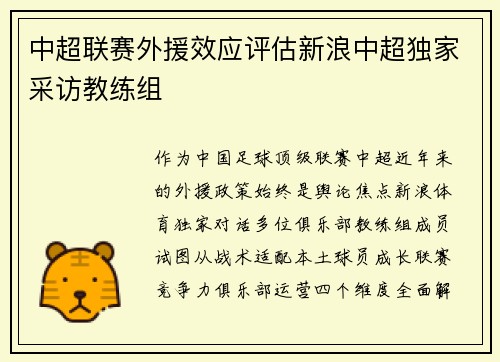 中超联赛外援效应评估新浪中超独家采访教练组
