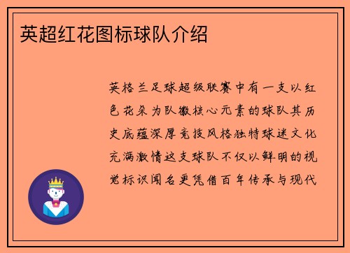 英超红花图标球队介绍