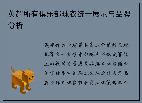 英超所有俱乐部球衣统一展示与品牌分析
